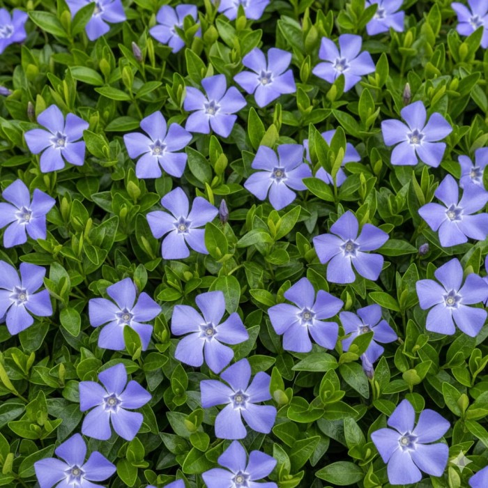 7b501a014b97b441d30d2902d772.jpg