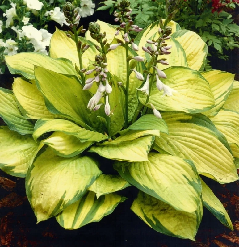 fd646de54f7cbf373cad90124480.jpg