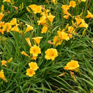 db8675d54af2af13c7fb4ad76329.jpg