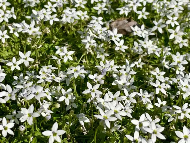 img_0709.webp