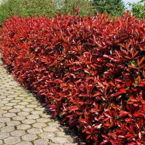 7c839d504ba998269c272526f75a.jpg
