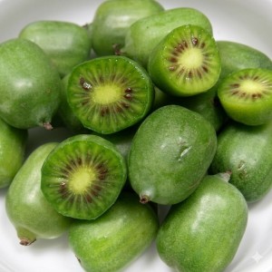 Aktinidai-mini-kiwi-issai-4.jpg