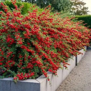 IRGA-POZIOMA-13.JPG